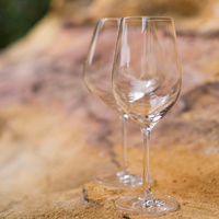 740ml Tempo Burgundy Wine Glass 