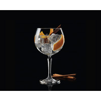 600ml Gin & Tonic Connexion
