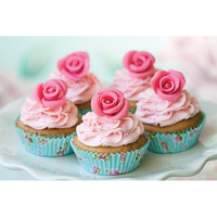 12 Cup Muffin Pan MasterClass - Non Stick