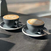 Saucer 15cm Dolphin Acme (fits Latte Cup)