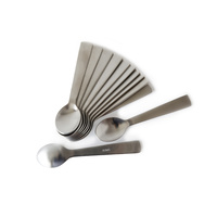 Teaspoon Brushed S/S Acme