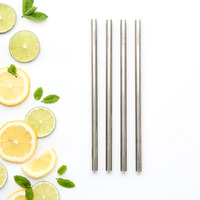 Smoothie S/S Reusable Straw (4 pack incl brush)