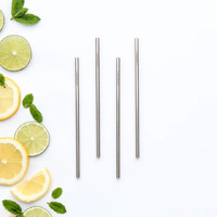 Cocktail S/S Reusable Straw (6 pack incl brush)