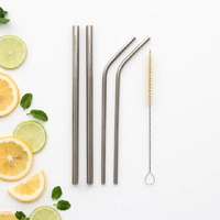 Mixed S/S Straw pack (2 smoothie + 2 drinking straw + brush)