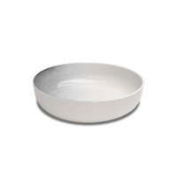 ECO Serve Porcelain Dish Coloured Spray High Edge - For Small Stand (Black, Blue, Green)