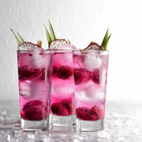 473ml Hi-Ball Endeavour Glass