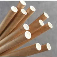 Straight Paper Straw Kraft Brown (Pkt 250) Green Bean