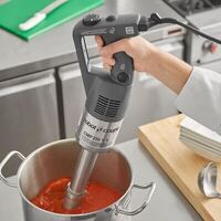 Robot Coupe Compact 250 V.V Stick Blender 