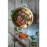 240mm Cast Iron Round French Oven (3.8 litre) Duck Egg - Chasseur