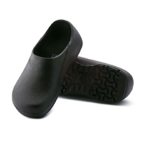 Birkenstock Professional Shoe