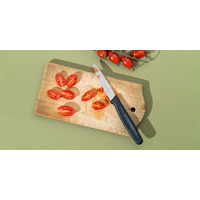 100mm Vegetable Paring Knife - Victorinox
