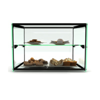 550mm Two Tier Glass Ambient Display case