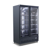 ICCOLD Black BD126 Double Glass Door Chiller 