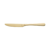 Matt Champagne Table Knife Amefa Austin