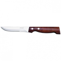 Steak Knife with Point Tip