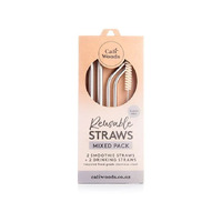 Mixed S/S Straw pack (2 smoothie + 2 drinking straw + brush)
