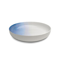 ECO Serve Porcelain Dish Coloured Spray - For Large Stand (Black, Blue, Green)