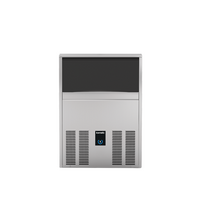 Icematic Ice Maker 39kg/24hr 15kg Storage