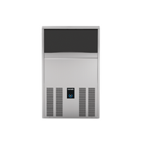 Icematic Ice Maker 46kg/24hr 22kg Storage