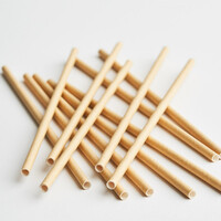 Cocktail Paper Straw Kraft Brown (Pkt 250) Green Bean
