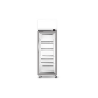 Skope Economy Ezicore Single Glass Door Chiller 
