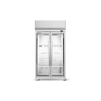 Skope Double Glass Door Freezer  