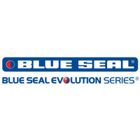 Blue Seal Evolution Series E603 - 600mm Electric Fish Fryer